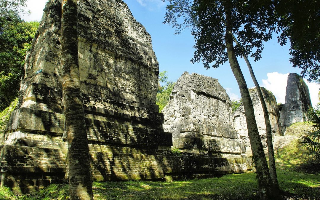Habitat of the Maya